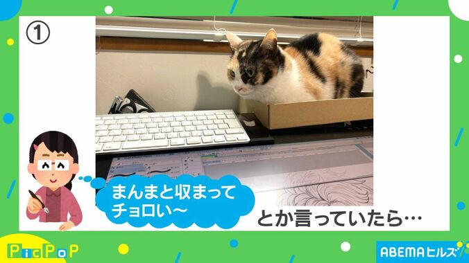 猫に仕事の邪魔をされないために箱を設置…どんどん集まり予想外の展開に「箱の魔力半端ない」 1枚目