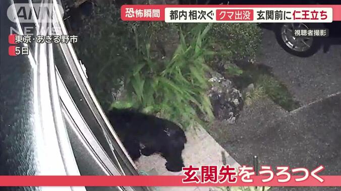 防犯カメラに映る玄関先のクマ