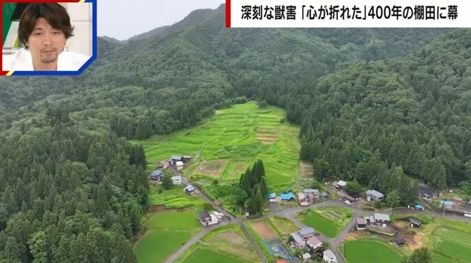 棚田