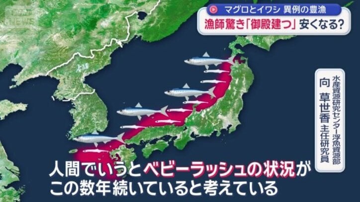 なぜ豊漁？