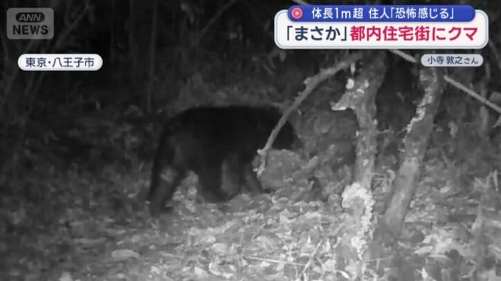 東京・八王子市の住宅地近くで撮影された映像