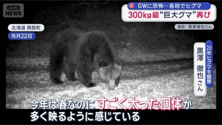 別の個体とみられる大きなヒグマ
