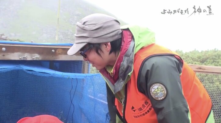 人を恐れない“神の鳥”をどう守り抜く？ ニホンライチョウ「復活作戦」が始動！