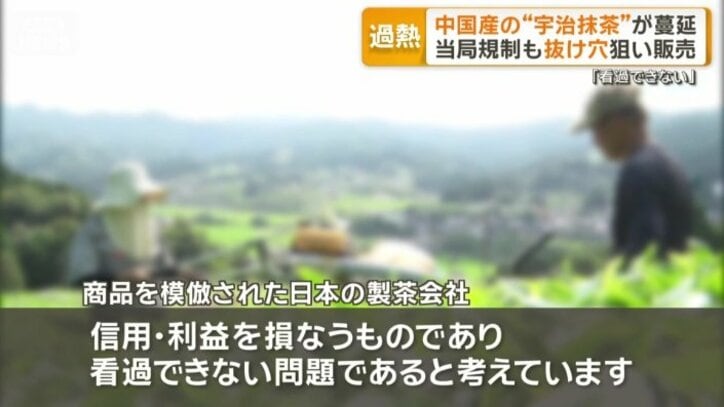 商品を模倣された日本の製茶会社は