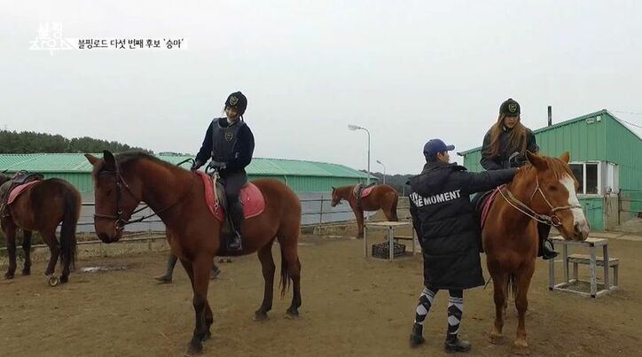 BLACKPINK、ついに100日間の同居生活が終了「お互いを理解していく時間だった」メンバー同士の絆を確認