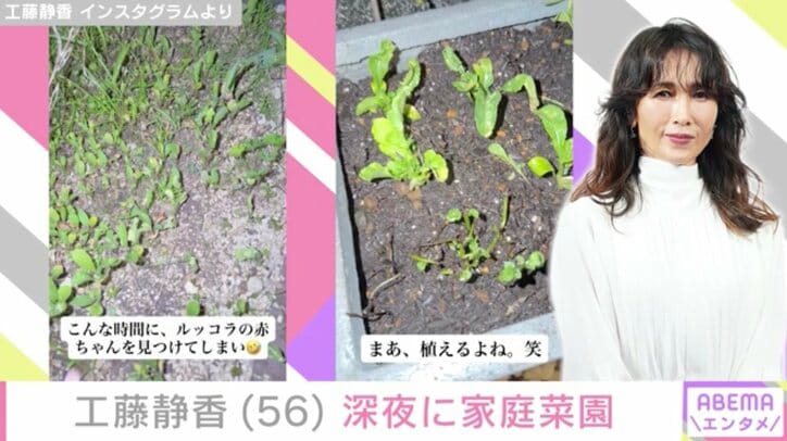 工藤静香 Instagramより