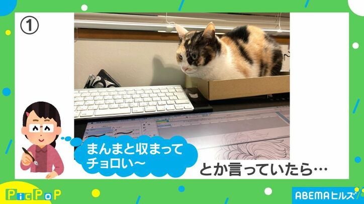 猫に仕事の邪魔をされないために箱を設置…どんどん集まり予想外の展開に「箱の魔力半端ない」