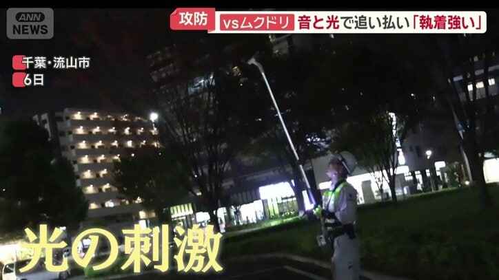 光の動きで刺激を