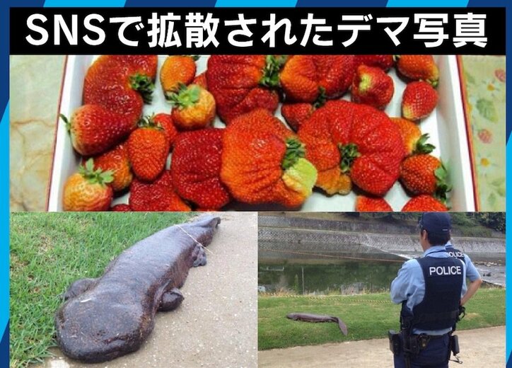 福島=フクシマと表記することの是非は？著名人やメディアが風評被害に加担してしまう現実について、ウーマン村本、小川アナらが激論