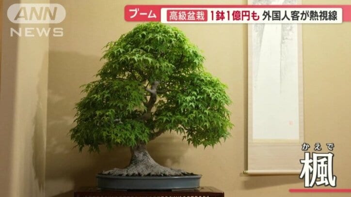 付けられた値段は1500万円
