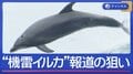 “機雷イルカを検討”報道にイランが反論　何が…狙いは？
