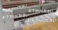 駅のホームドアが“ブチ切れる”大珍事 “危ないハトに”「おさがりください」連呼も“侵入者”はどこ吹く風の光景が話題に