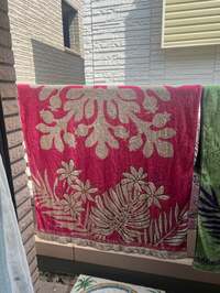 キャシー中島『新しいタオル』