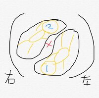 蒼井そら、胎動で双子の違いを感じ「親バカ妄想が止まらない」