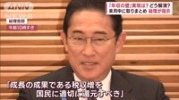 【映像】「年収の壁」どう解消？政府新対策 専門家「いまの形に合ってない」