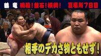 2019年 大相撲五月場所 - 今日の横綱 - <...