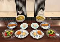 藤あや子『昨日の晩ごはん』