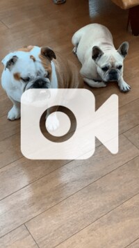 北斗晶『25年前に見た、私達の未来の子供』