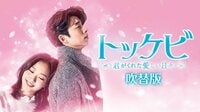 『トッケビ～君がくれた愛しい日々～』全話（吹替）