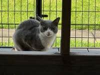 坂上忍『４朗の厳しいひと言』