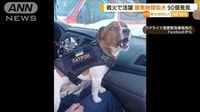 “爆発物探知犬”戦火で活躍　90個発見　ご褒美に…
