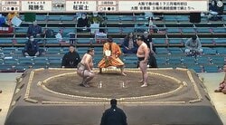 「昼前から鎮座してるw」大相撲中継、カメラが偶然捉えた著名人が話題 升席に正座で声援を送る様子にファン驚き