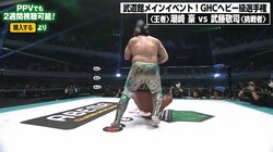 【画像】一瞬ですべてを奪った「フランケンシュタイナー」