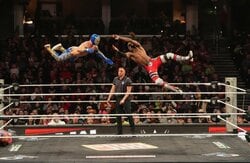 「どんな迎撃だよw」反対側のコーナーから飛んで…“規格外”の迎撃技が炸裂「なんて技だ！」