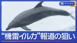 “機雷イルカを検討”報道にイランが反論　何が…狙いは？