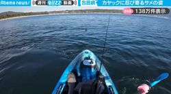 衝撃映像！「狙われている」約3メートルのサメに包囲された瞬間 恐ろしすぎる“緊迫の45秒”