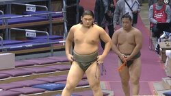 “良い脚”をしている18歳の“規格外”力士