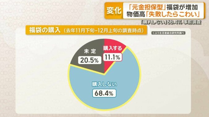 福袋の購入（去年11月上旬ー12月下旬の調査時点）