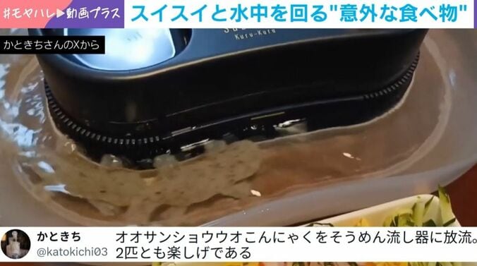オオサンショウウオの形をしたこんにゃく