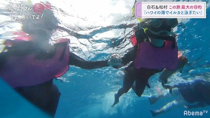 「イルカと泳ぎたい」白石麻衣＆松村沙友理、2人の夢がハワイで叶う 6枚目