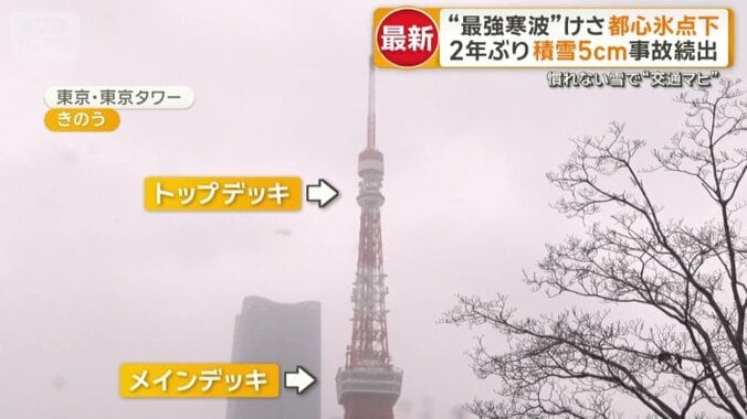 屋外の階段を上るツアーは中止に