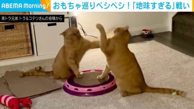 トラくんとコテツくん