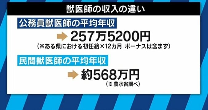 「年収は普通のOLさんよりは多少良いくらい」「数ではなく偏在が問題」「関心が高まったのは良いこと」加計学園問題に揺れる獣医師たちの思い 4枚目