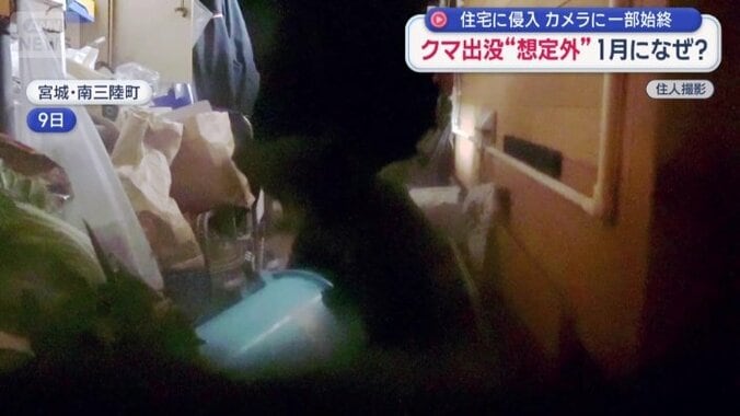 物音をたててもクマはその場から離れず