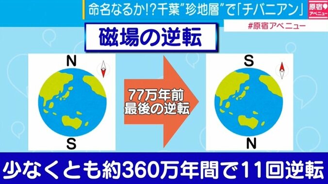 茨城大などの研究チームが申請「チバニアン」、競合はイタリアの地層か 2枚目