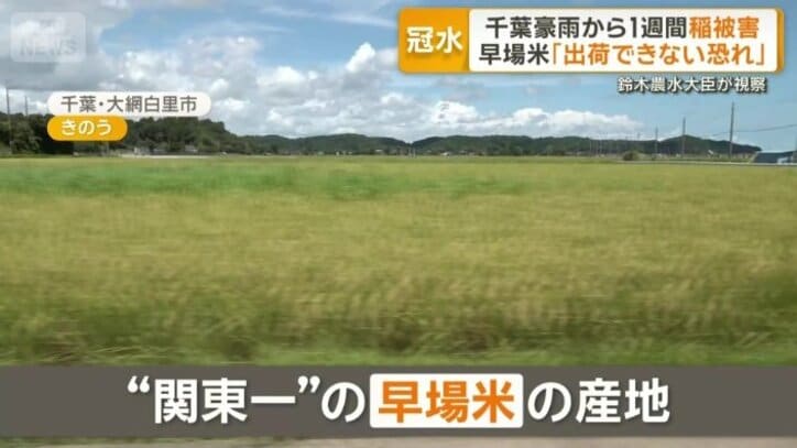 関東一の早場米産地・千葉県