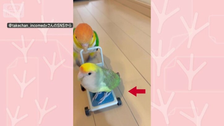 落ちないように踏ん張る