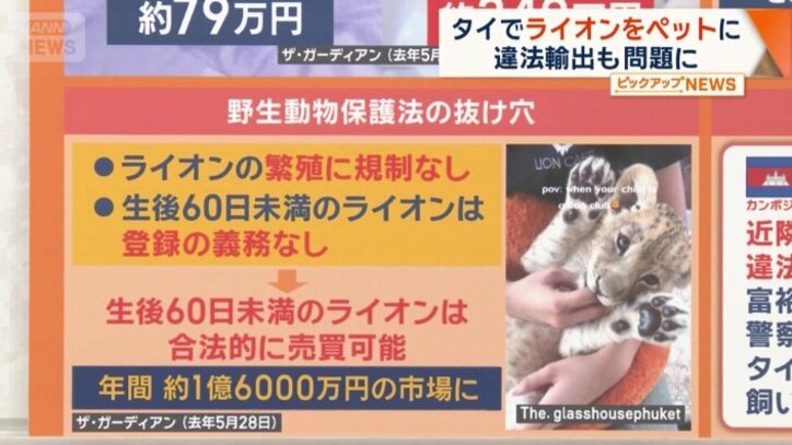 約1億6000万円規模の市場に