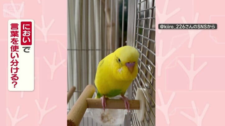 においをかぎ分けてる？