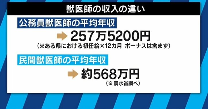 「年収は普通のOLさんよりは多少良いくらい」「数ではなく偏在が問題」「関心が高まったのは良いこと」加計学園問題に揺れる獣医師たちの思い