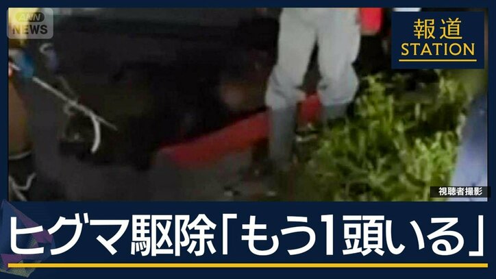 体長2m超ヒグマ駆除　新聞配達の男性襲った個体か調査へ　北海道・福島町
