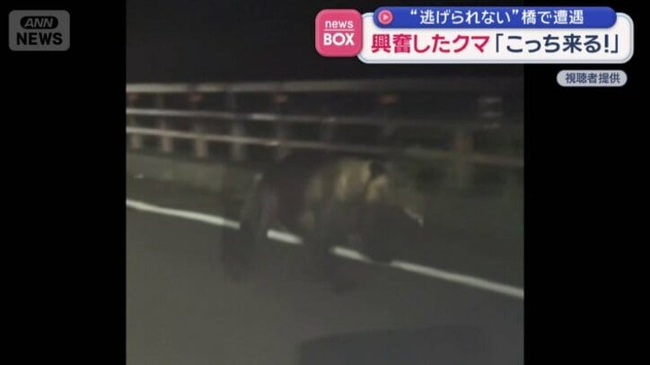 道路脇の森に立ち去って行ったという