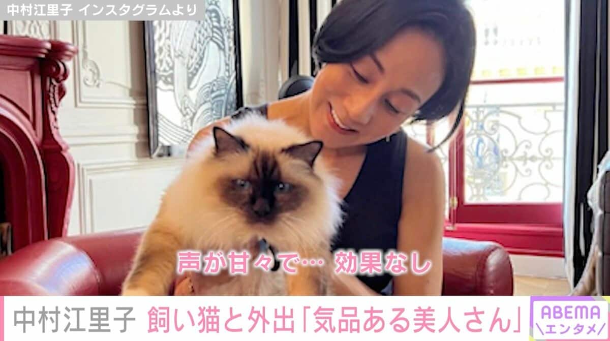 中村江里子、飼い猫とこだわりコーデで外出「気品ある美人さん
