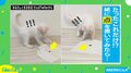 「食いつき良すぎｗ」ネコが夢中になるシンプルすぎるおもちゃが話題
