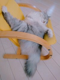 細川直美『寝相が……』