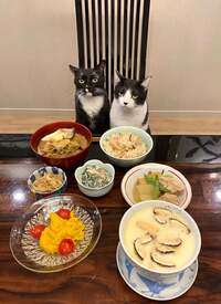 藤あや子『昨日の晩ごはん』